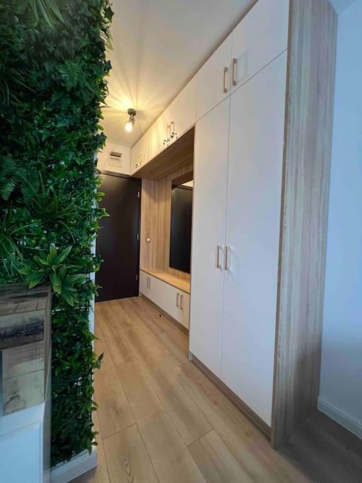 Cosy Appartement Green Life Bansko Eksteriør bilde