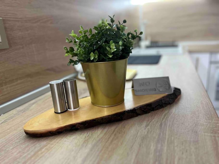 Cosy Appartement Green Life Bansko Eksteriør bilde