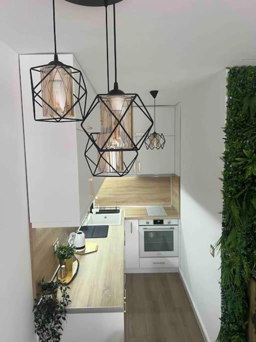 Cosy Appartement Green Life Bansko Eksteriør bilde